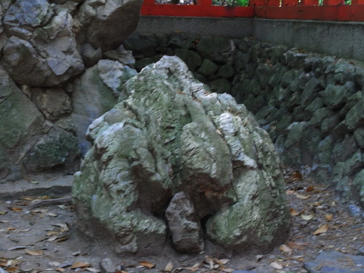 画像24