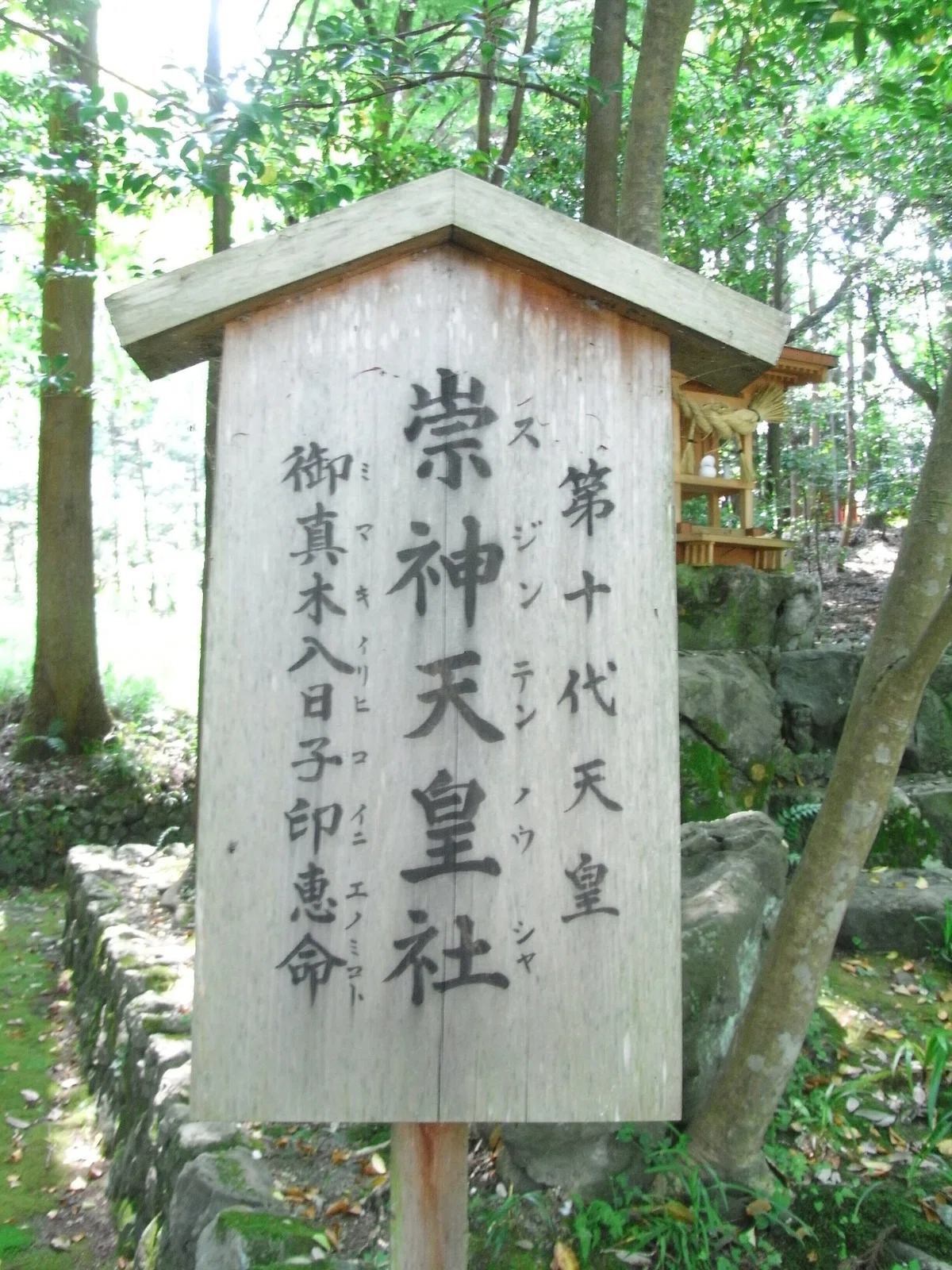 画像25