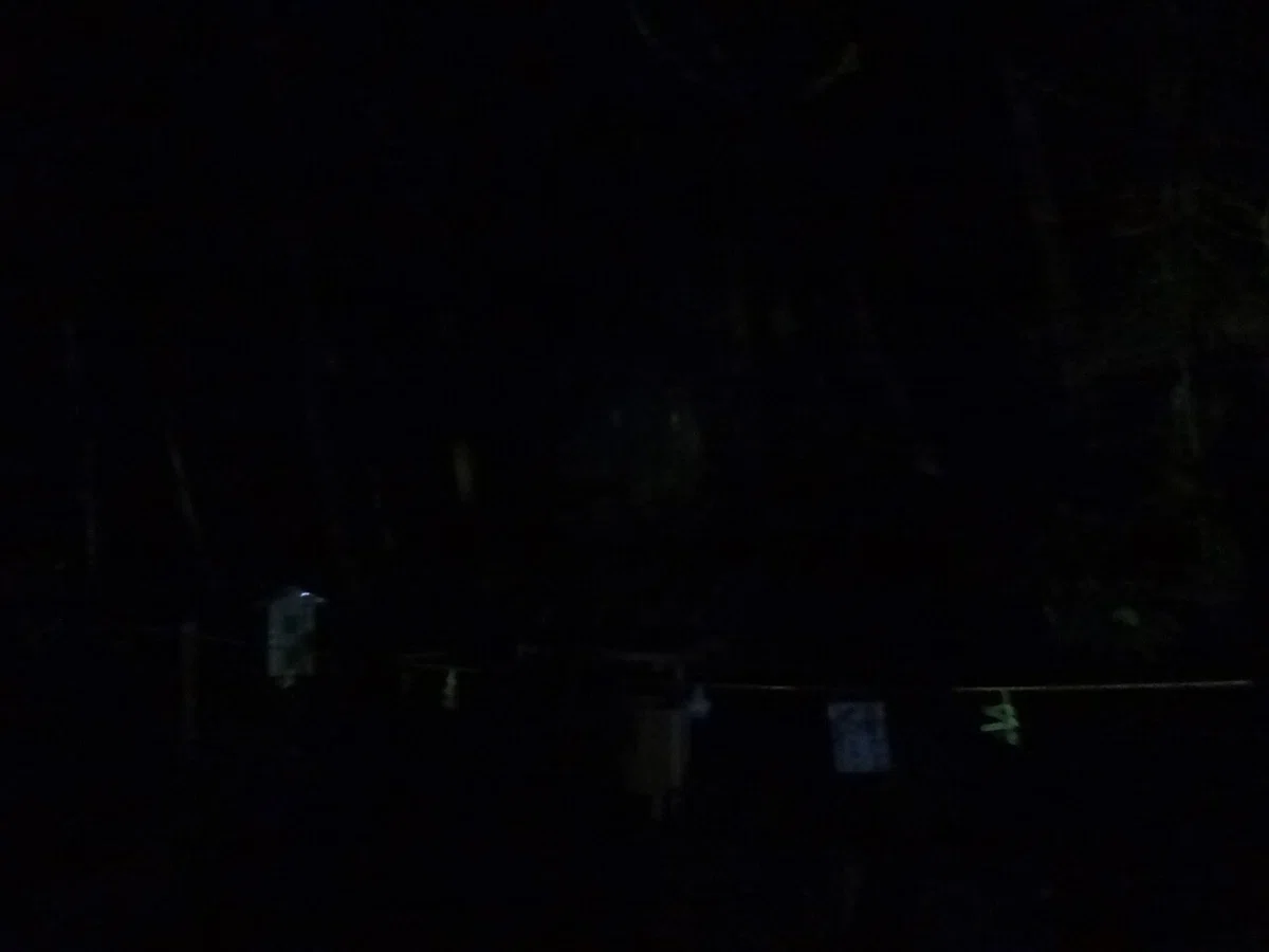 画像41
