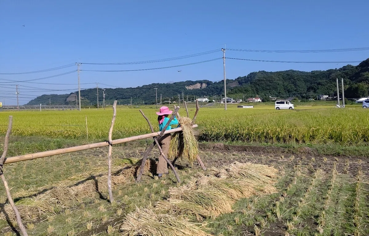 画像