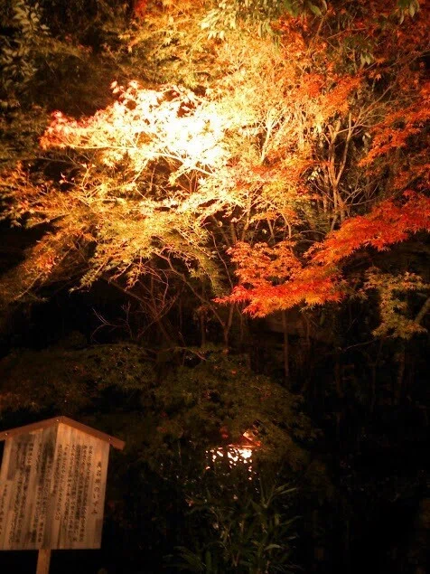 画像54