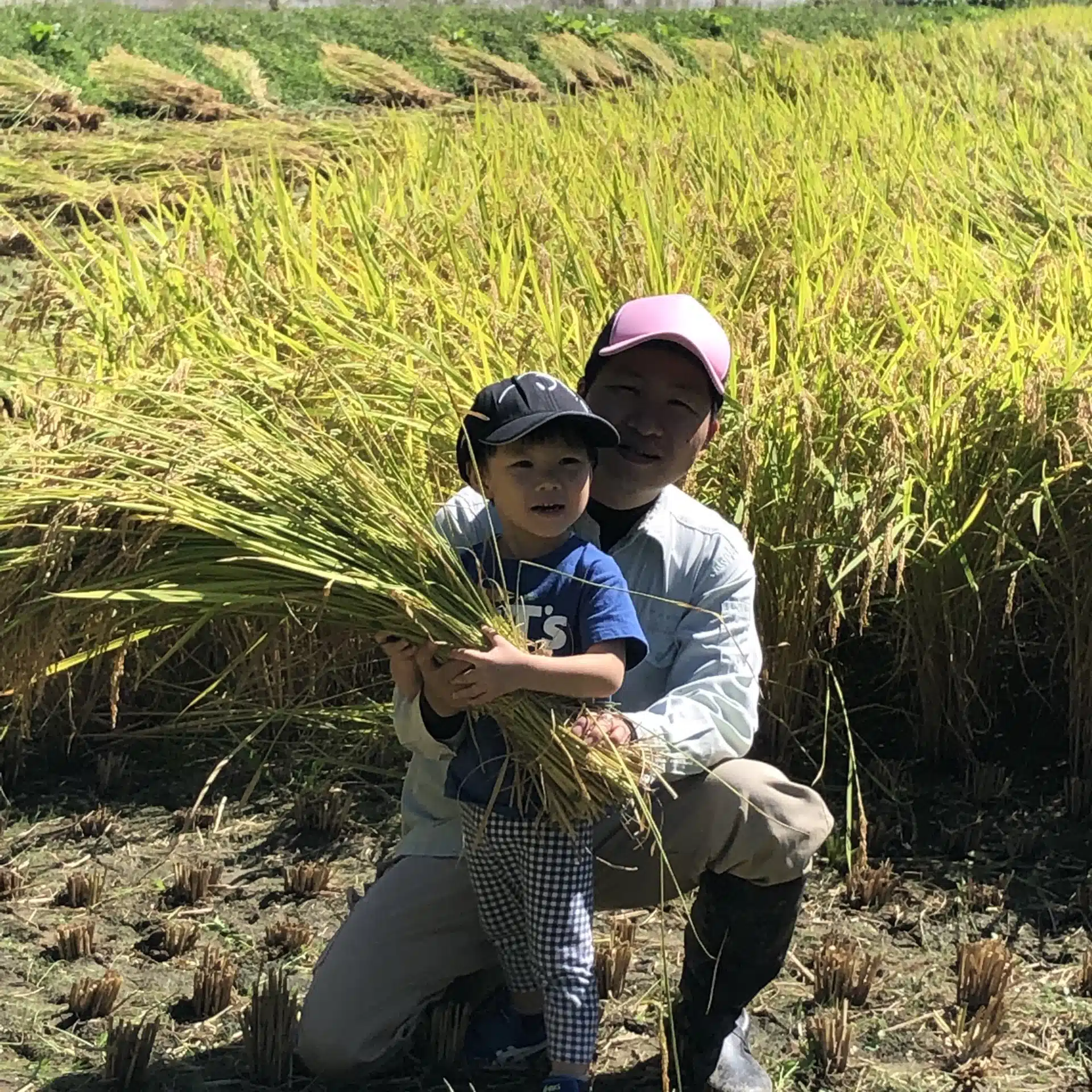 山奥の兼業農家の長男に生まれました