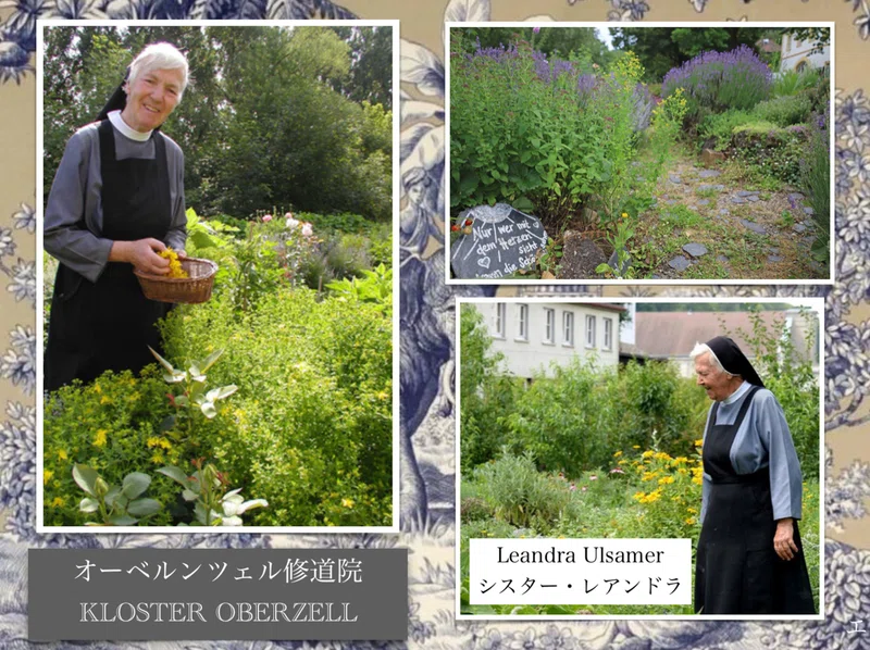 歴史的モデルの薬草園と真逆をゆく オーベルンツェル修道院の薬草園 𓇗𝕳𝖎𝖑𝖉𝖊𝖌𝖆𝖗𝖙𝖊𝖓 𝕹𝖔𝖙𝖊𓇗 𓍯中世の修道院の薬草園を身近に作る 感じる𓍯ヒルデガルテン 聖ヒルデガルトの薬草園 Note