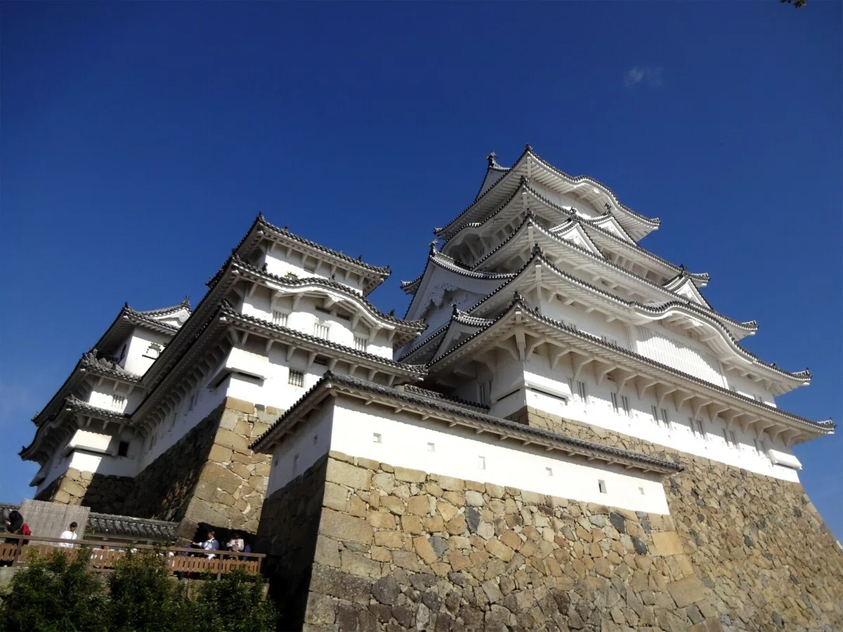 画像8