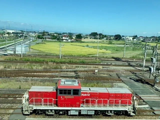 画像11