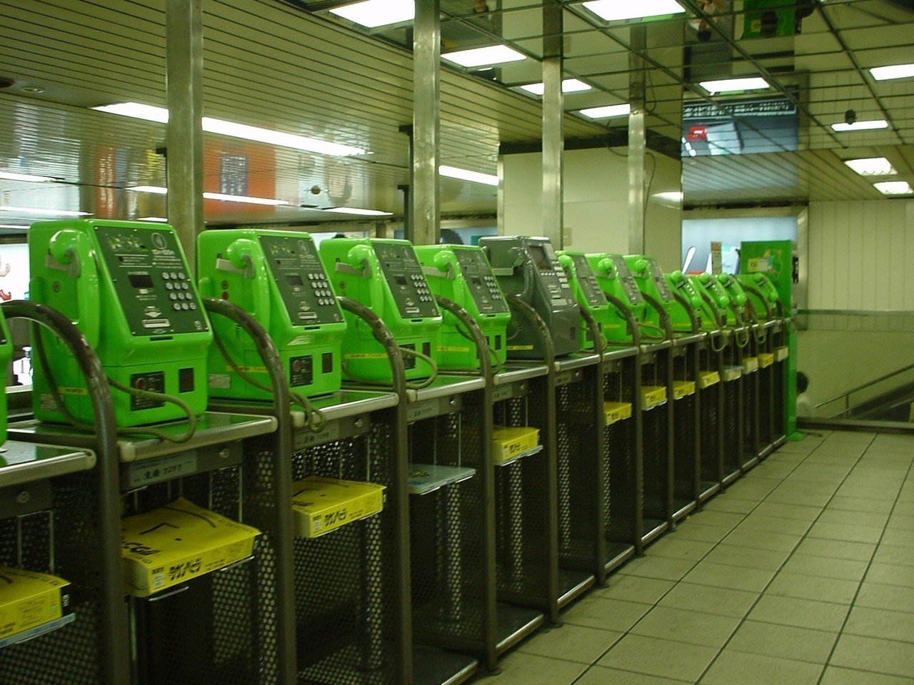 写真を整理していて、今の所一番驚いたモノ、2001年6月に撮影