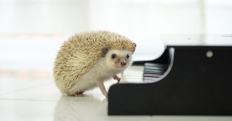 音楽はいいね リリンの生み出した文化の極みだよ ちょこりす Note
