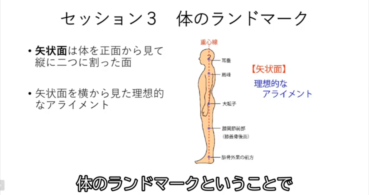 整体の指標となる体のランドマーク基礎講座 字幕解説とpdfファイル付き セルフヘルスセラピスト じょう Note