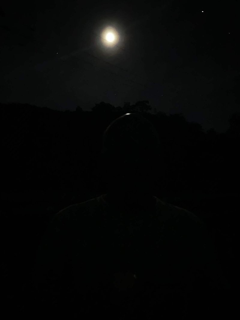 月明かりに照らされた父の禿頭