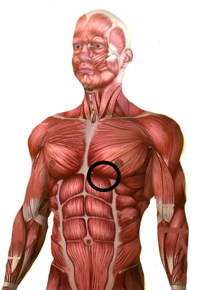 ヒジを閉める と 又にボールを挟む で腹筋への刺激が劇的に変わる じーやま 山路和希 Note