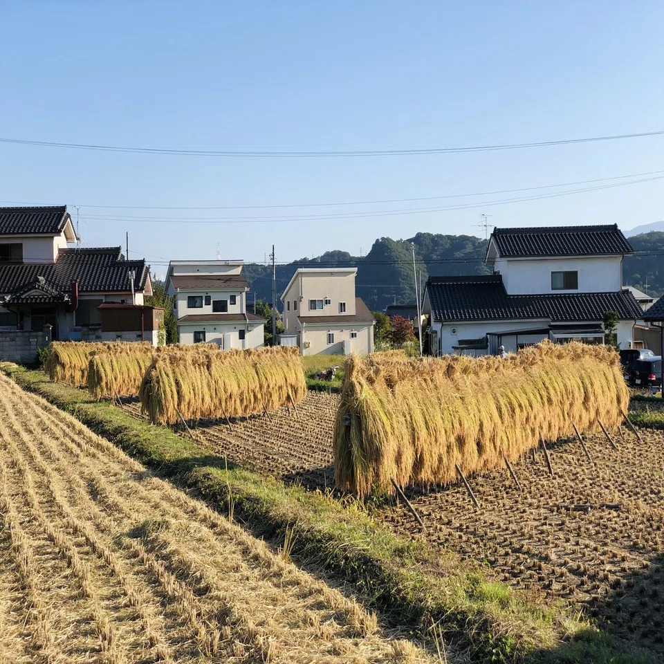 稲刈り体験をしてみました 長野県東御市 公式