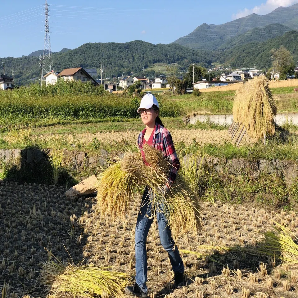 稲刈り体験をしてみました 長野県東御市 公式