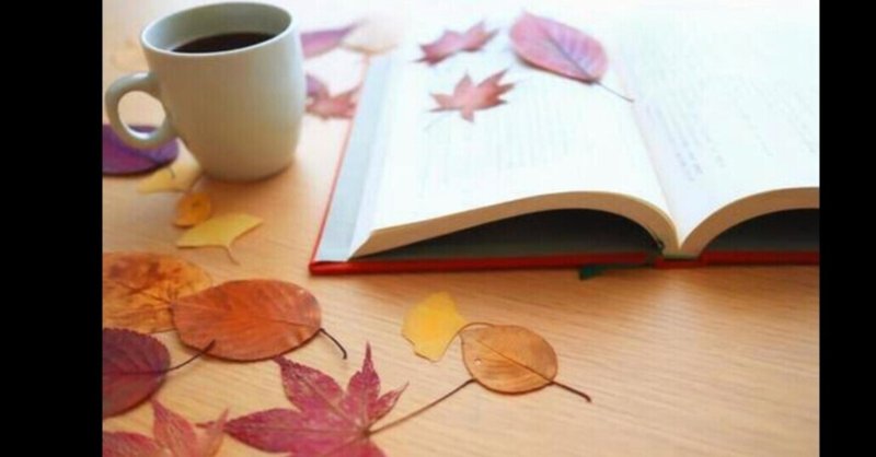 今は無料でも小説が読める One Pieceの二次創作を紹介 読書家 Note