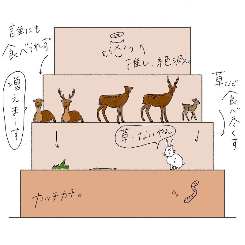 オオカミいない