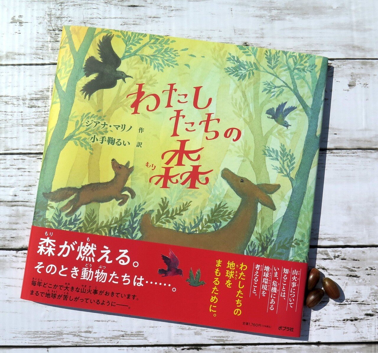 山火事を生きた、めす鹿が語る絵本『わたしたちの森』。訳者、小
