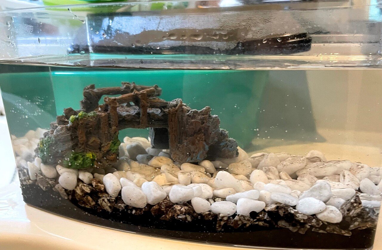 100均を活用 1000円代で小さく始める卓上アクアリウム 樋口義久 Note 100均を活用 1000円代で小さく始める卓上アクアリウム 樋口義久 Note