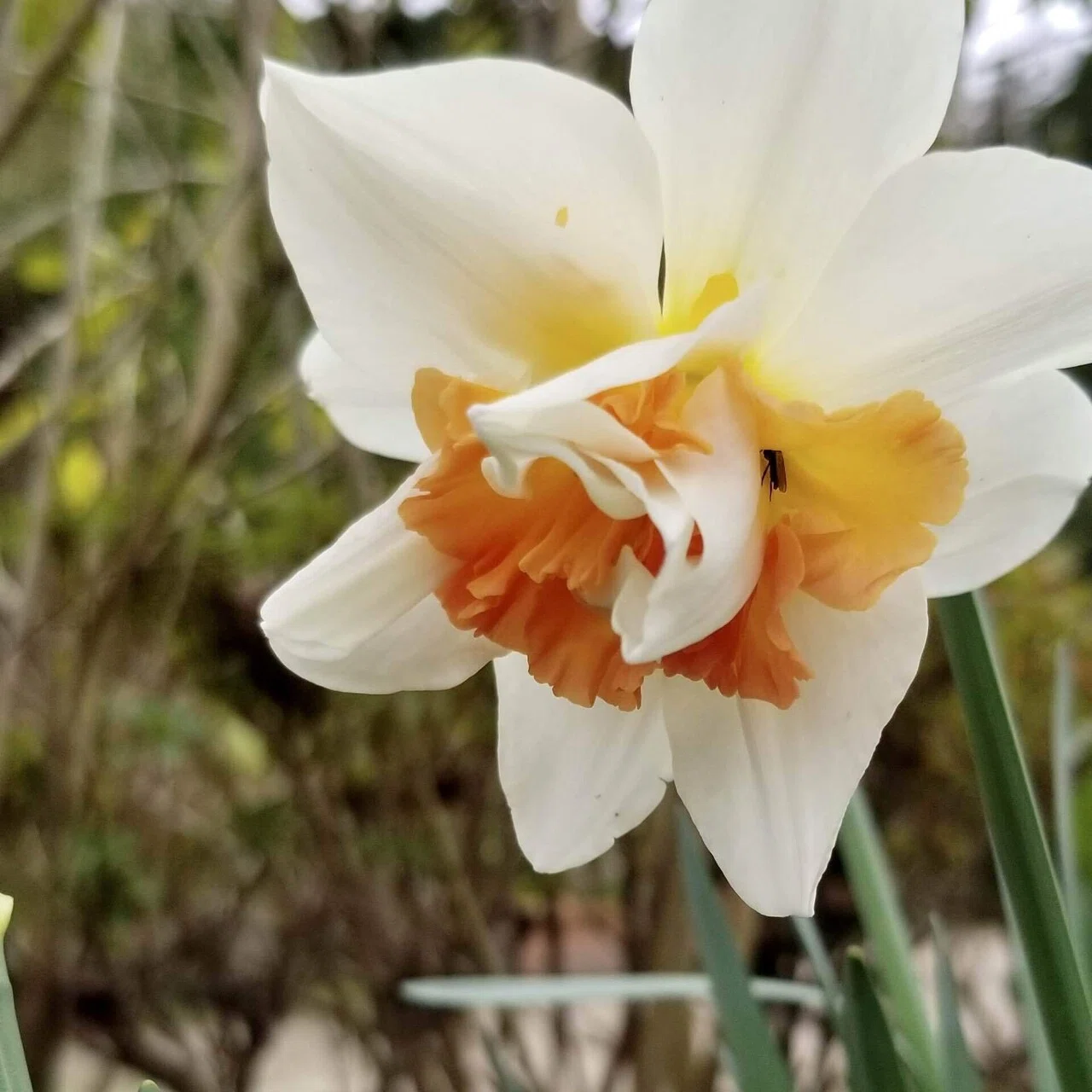 The Autumn Gardening Season is Here! Introducing Recommended