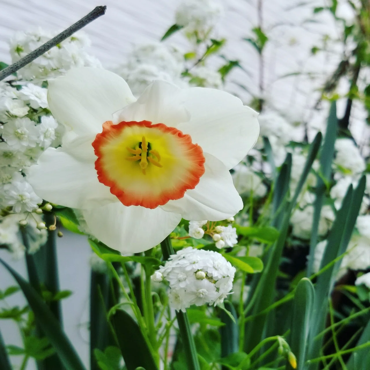 The Autumn Gardening Season is Here! Introducing Recommended