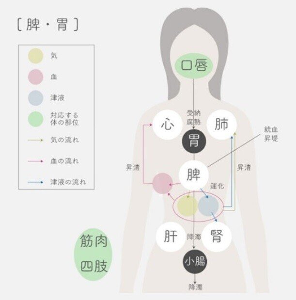 妊活7-1