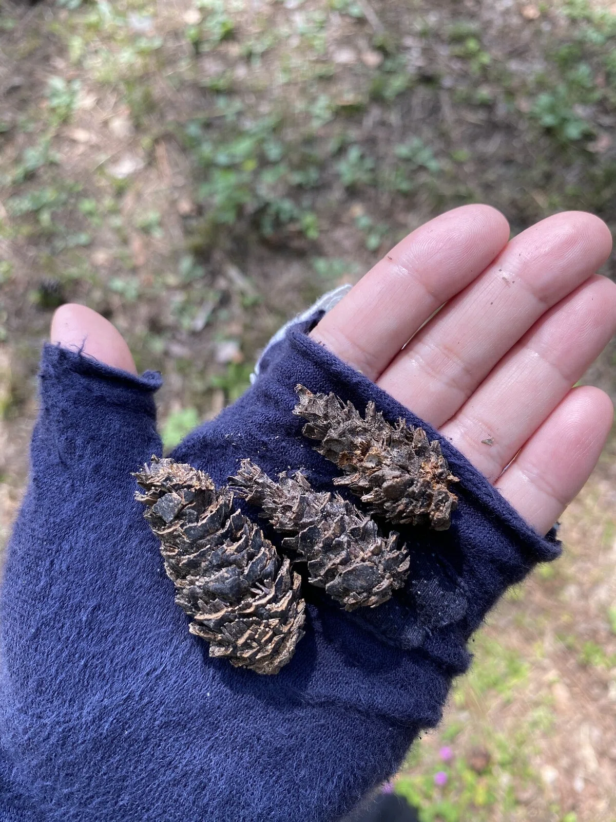 画像18