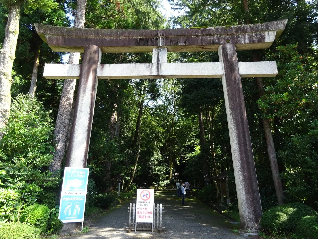 画像12
