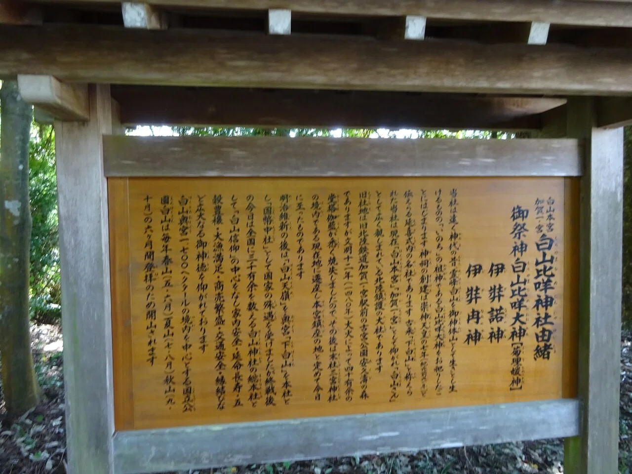 画像13