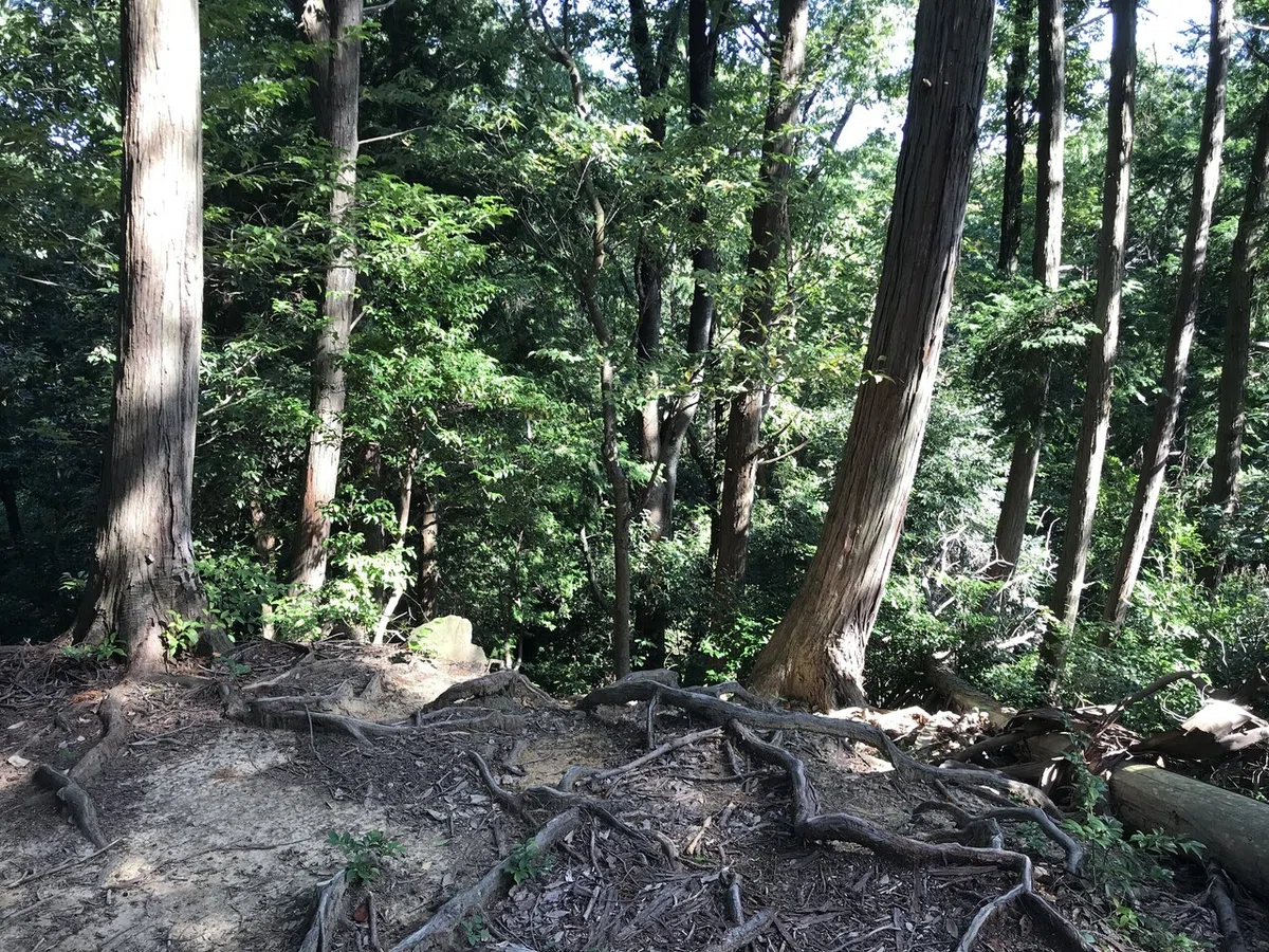 画像2