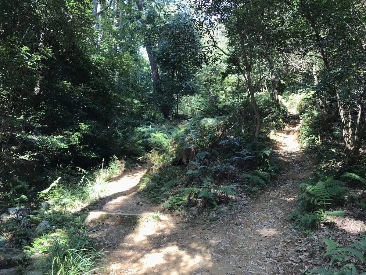 画像3