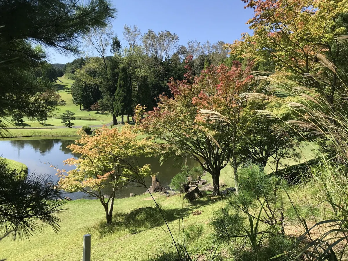 画像8