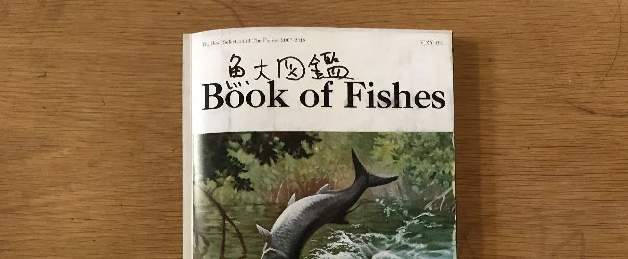 音楽のデザインをちゃんと見る：サカナクション「魚図鑑」｜梅野竜一 