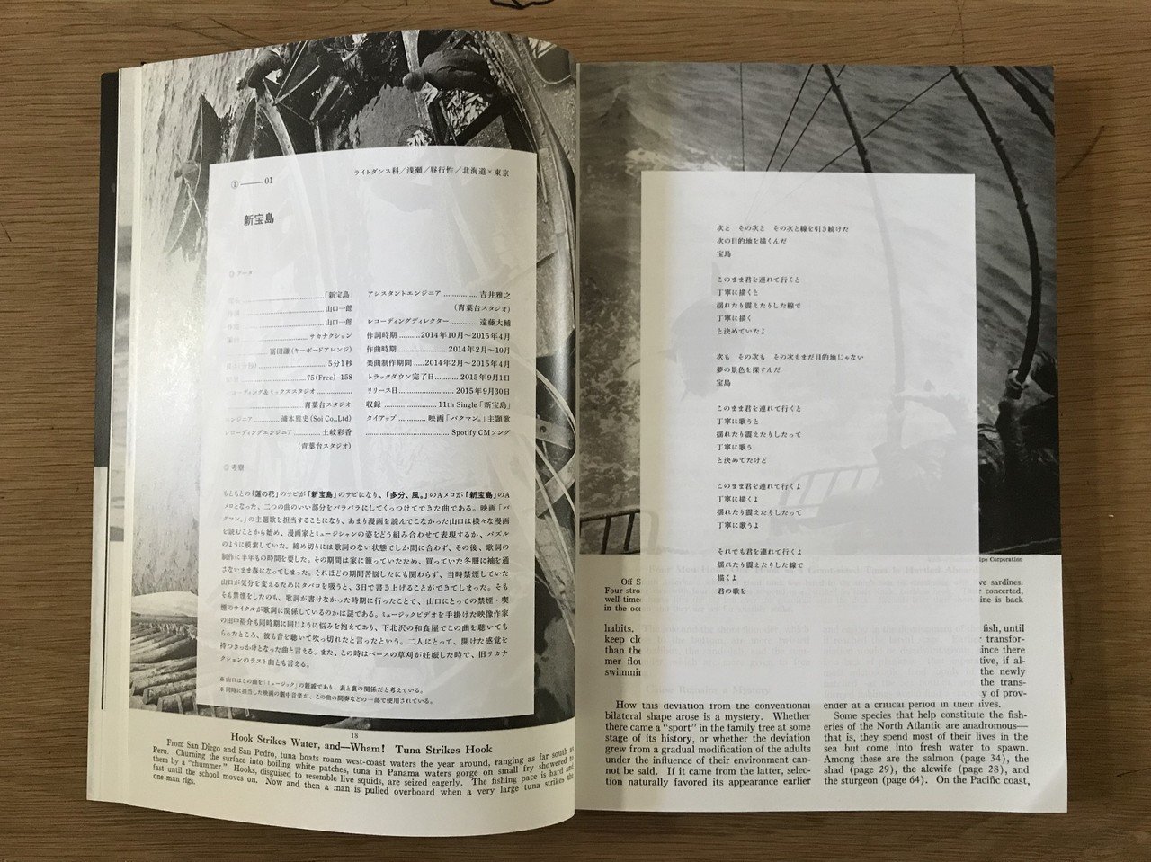 音楽のデザインをちゃんと見る サカナクション 魚図鑑 りゅーまち Note 音楽のデザインをちゃんと見る サカナクション 魚図鑑 りゅーまち Note