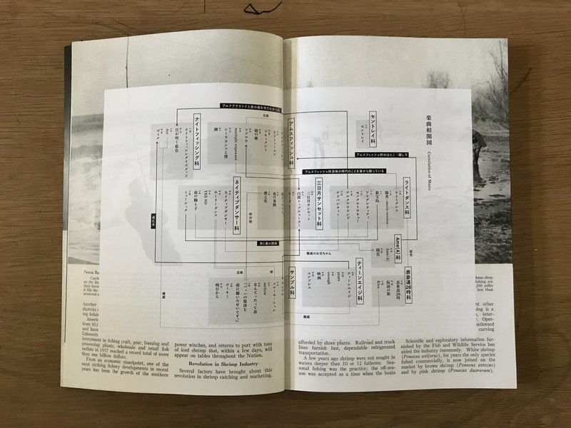音楽のデザインをちゃんと見る サカナクション 魚図鑑 りゅーまち Note 音楽のデザインをちゃんと見る サカナクション 魚図鑑 りゅーまち Note