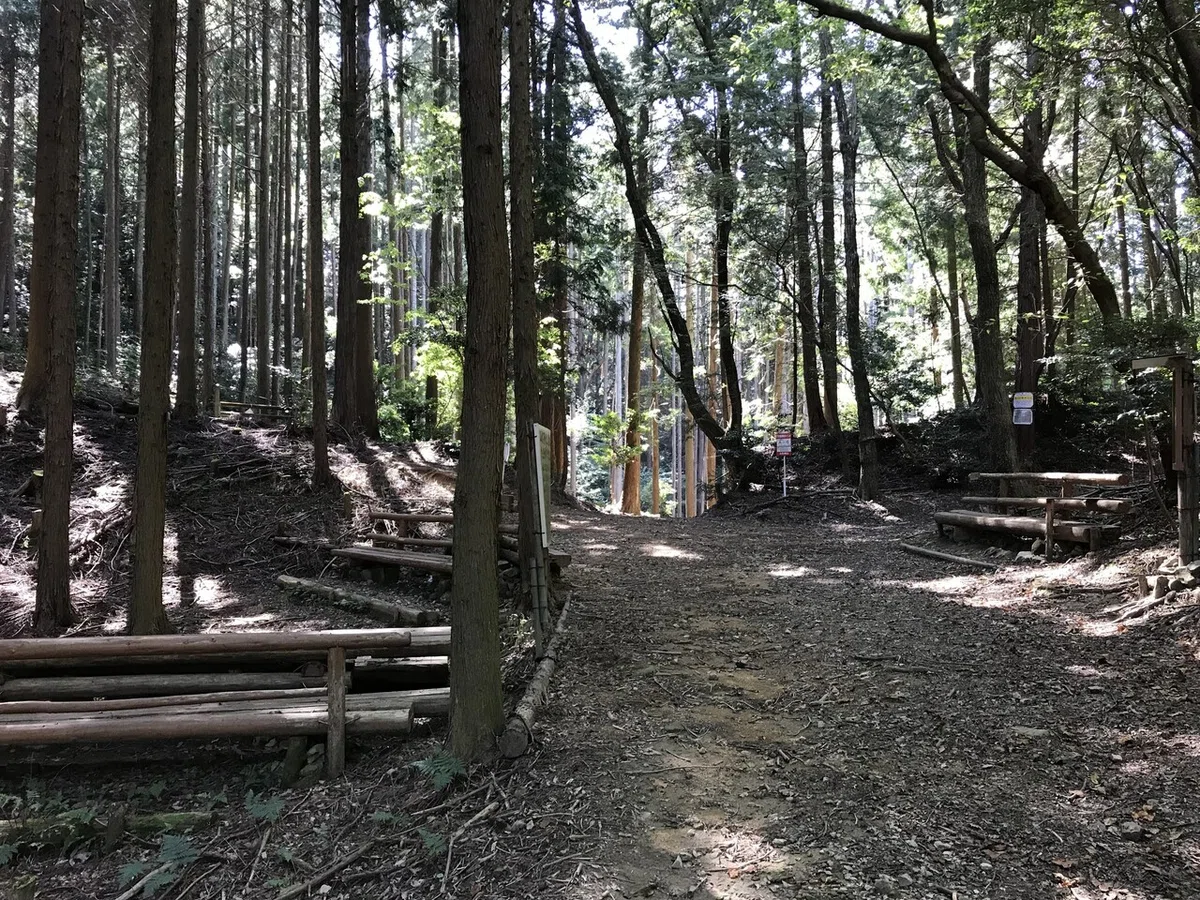 画像9
