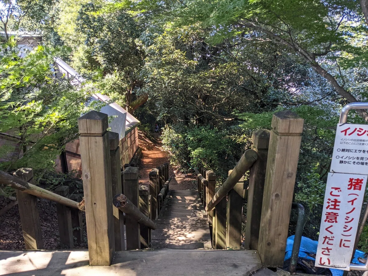 画像4