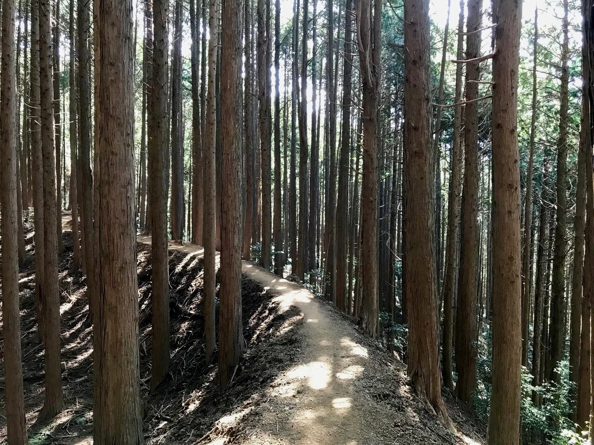 画像12