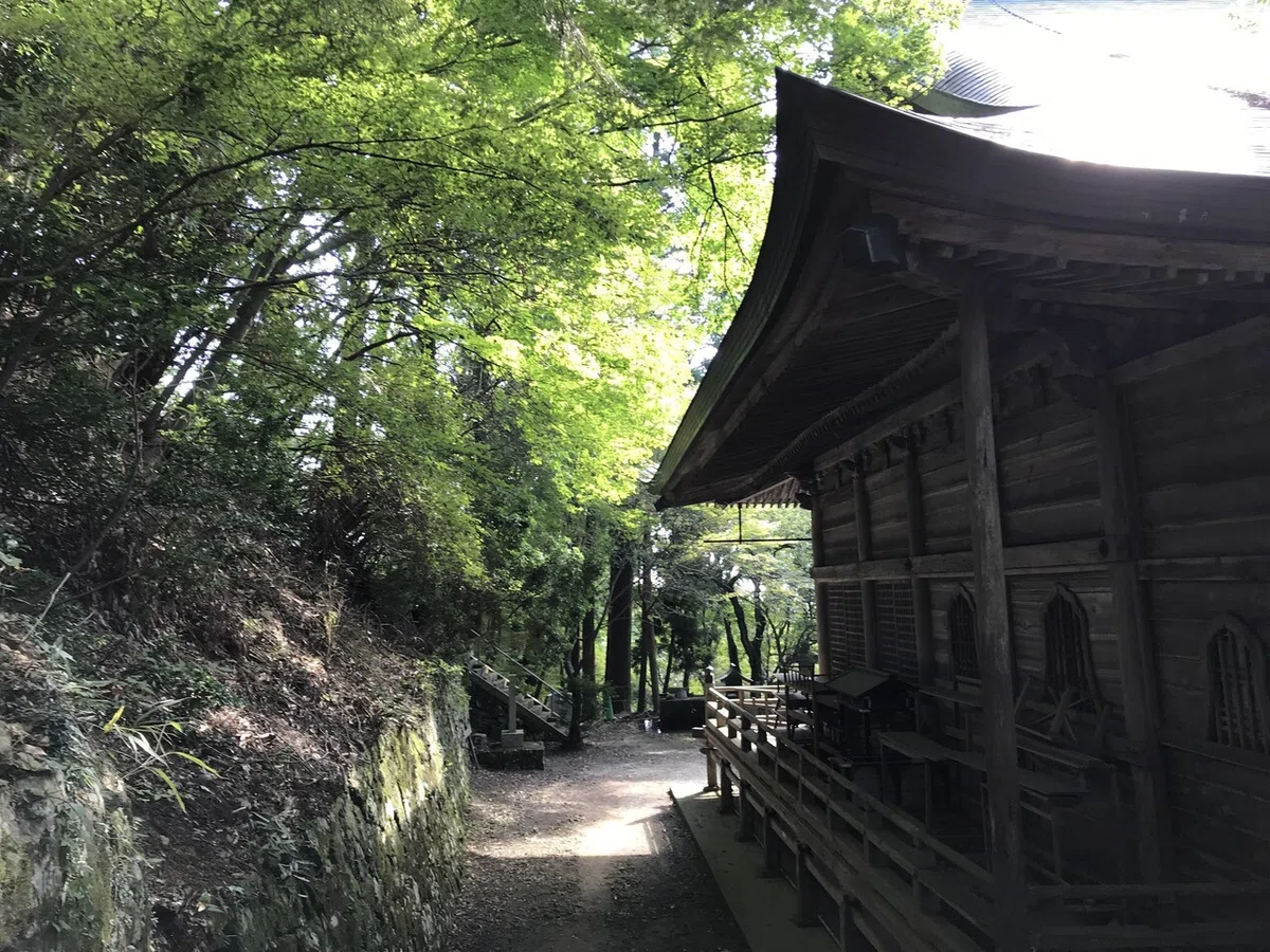 画像13