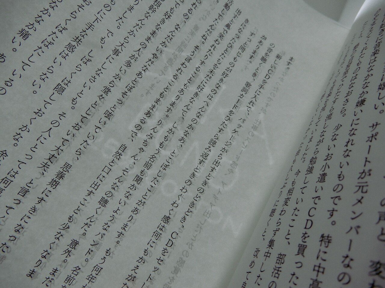 フリーペーパー 星屑 とその本のこと Rinnmi Note フリーペーパー 星屑 とその本のこと Rinnmi Note