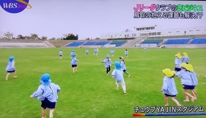 Wbsで放送されたjリーグクラブが挑む 芝ビジネス ガイナーレ鳥取 鹿島アントラーズ について Shingo Moriya Note Wbsで放送されたjリーグクラブが挑む 芝ビジネス ガイナーレ鳥取 鹿島アントラーズ について Shingo Moriya Note
