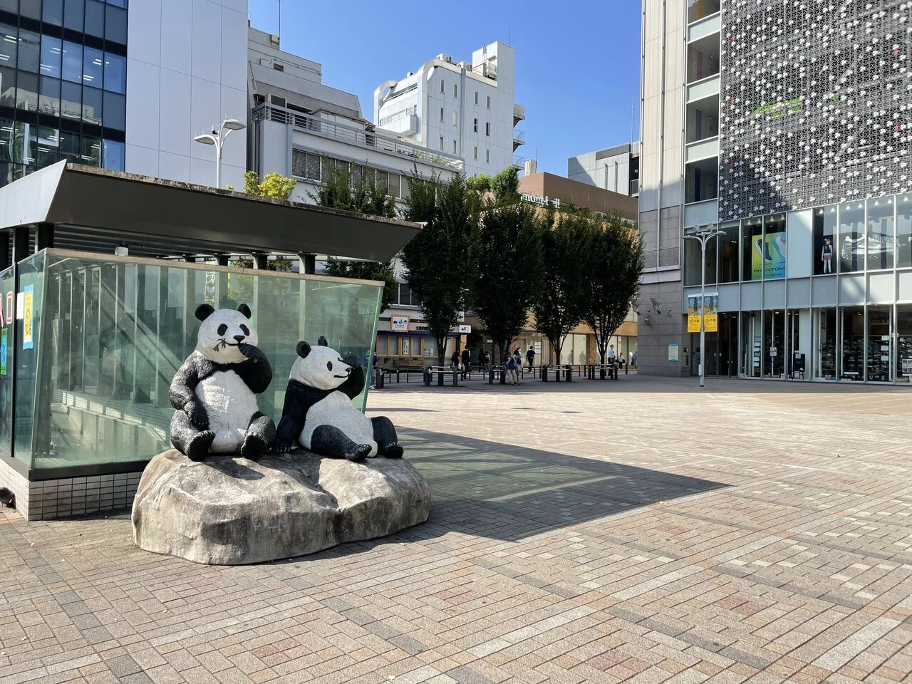 Panda Spots [Monument Edition]｜上野案内所