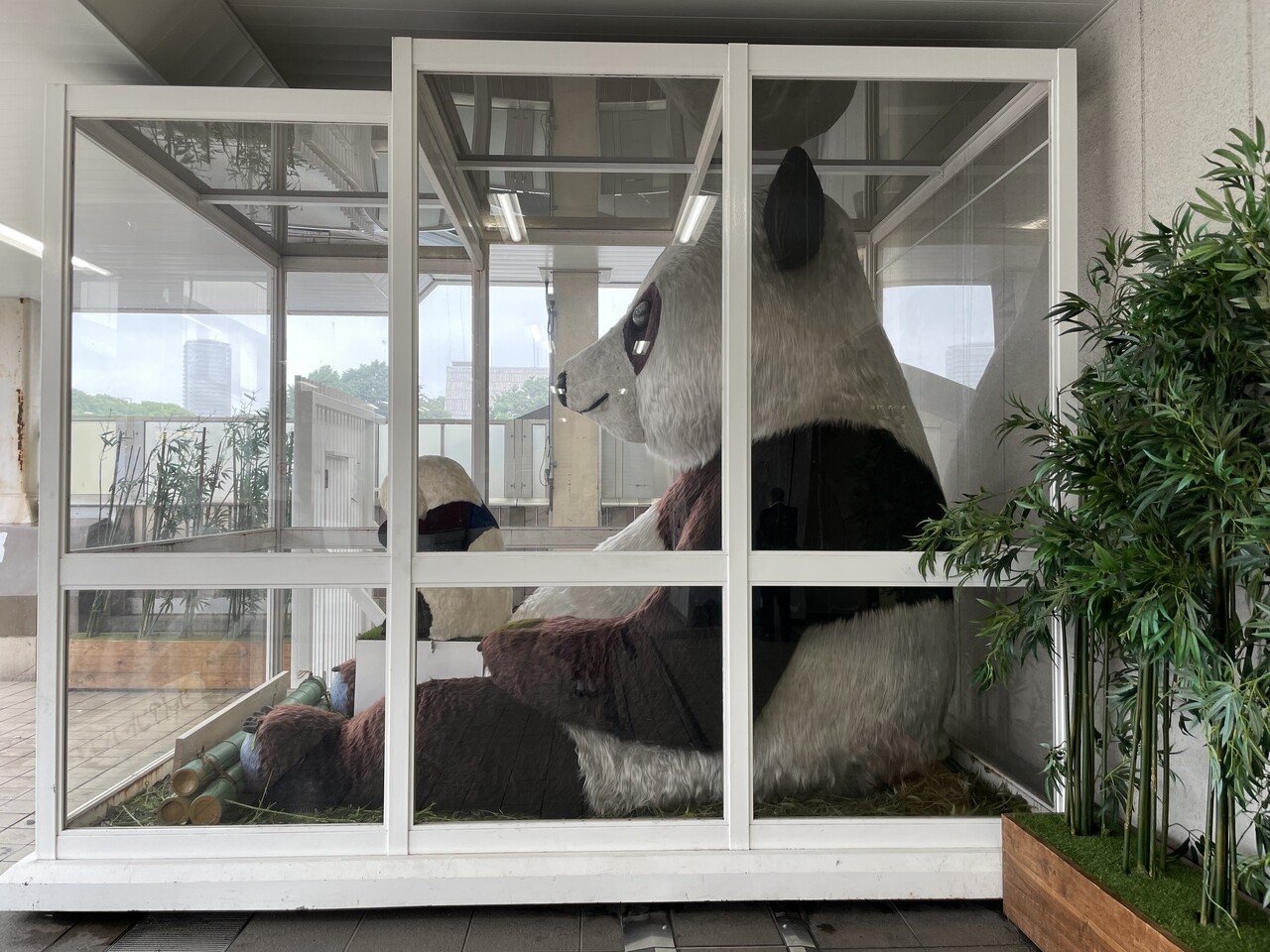 パンダスポット モニュメント編 上野案内所 Note パンダスポット モニュメント編 上野案内所 Note