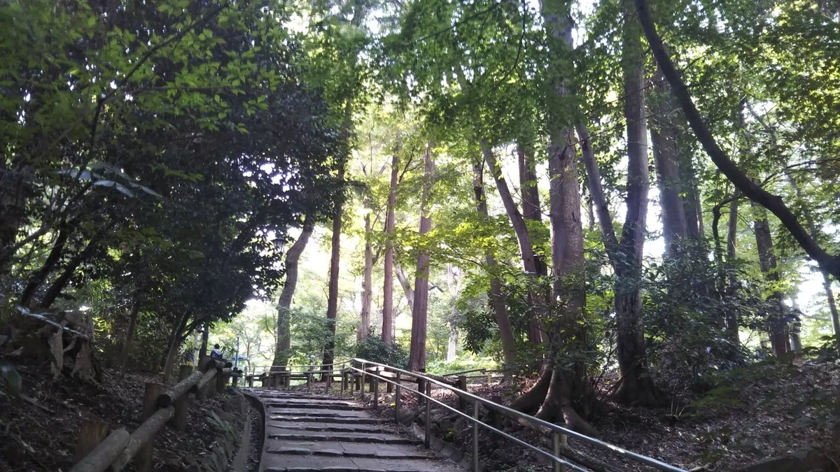 画像7