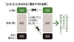 ダウンロード