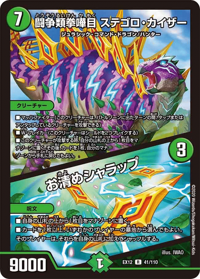 現在のアナカラーシャコガイルについて｜tomo