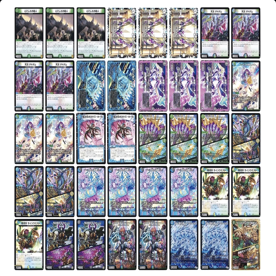 現在のアナカラーシャコガイルについて｜tomo