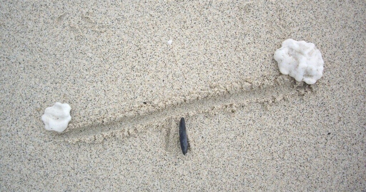 起業家は 良いアイデアを積み重ねる指揮官を目指そう 長坂創太 起業家 Note 起業家は 良いアイデアを積み重ねる指揮官を目指そう 長坂創太 起業家 Note