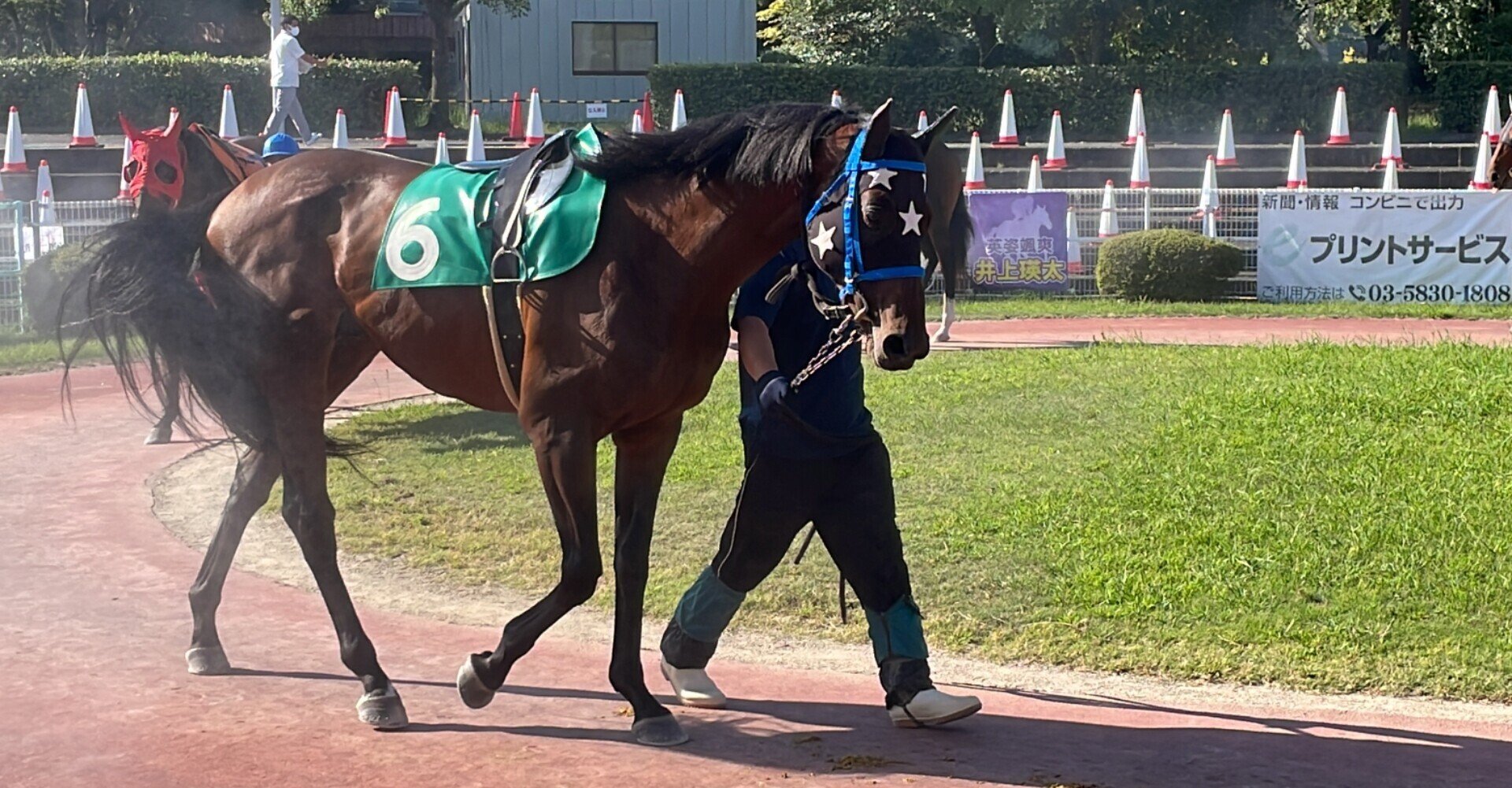 共有馬ナスノカンザン観戦記/地方馬主初勝利＆高知競馬場レポート