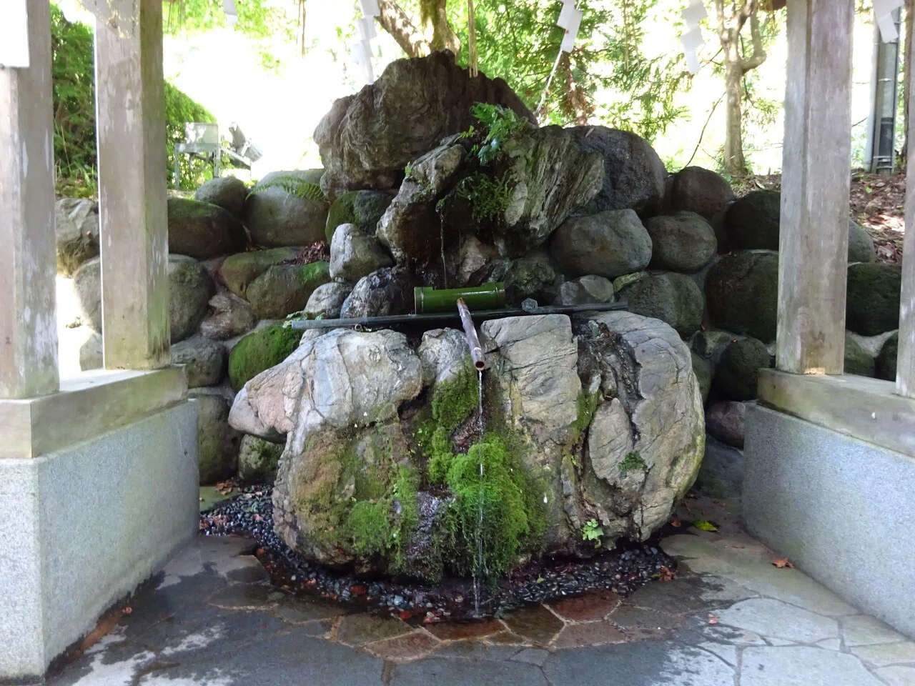 画像5