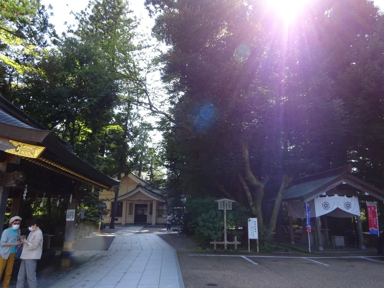 画像8