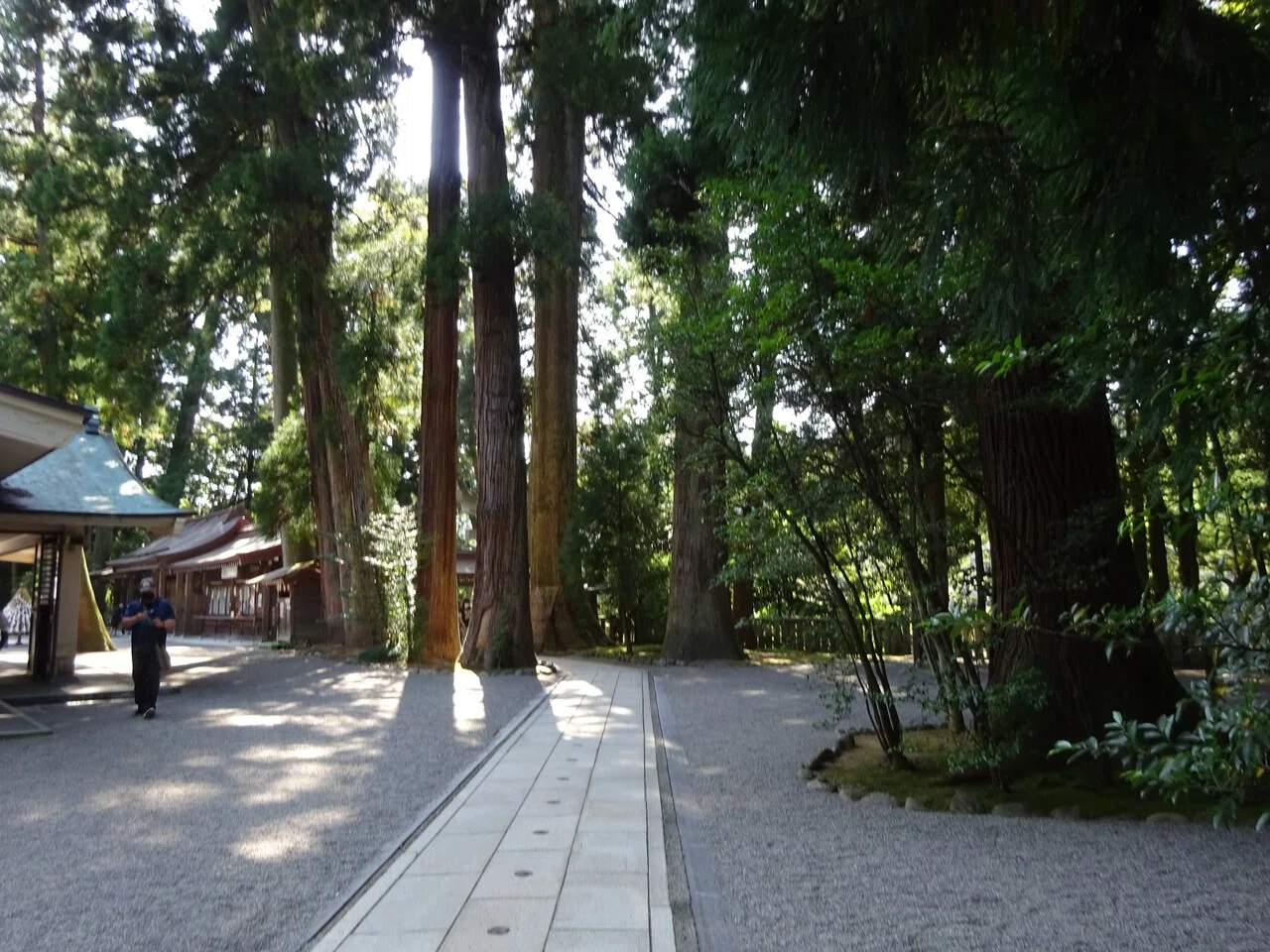 画像10