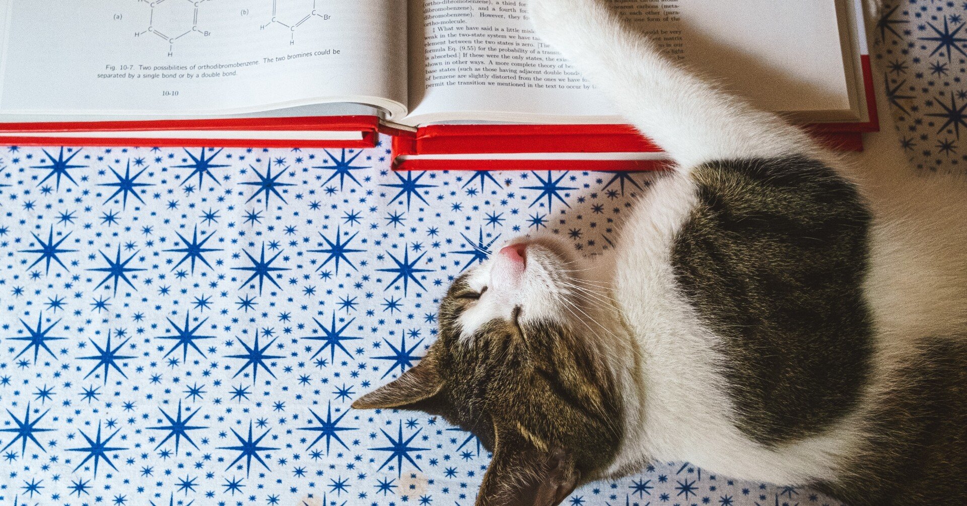 東大特進コース FAQ【テキスト編】｜東進 東大特進コース